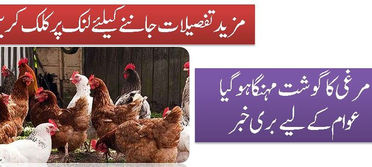 مرغی کا گوشت مہنگا ہو گیا عوام کے لیےبر ی خبر