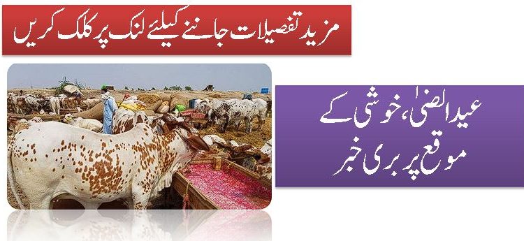 عیدالضیٰ ،خوشی کے موقع پر بری خبر