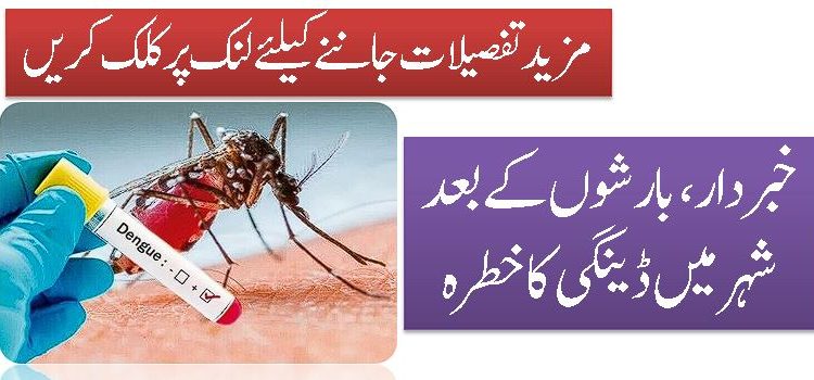 خبردار،بارشوں کے بعد شہر میں ڈینگی کا خطرہ