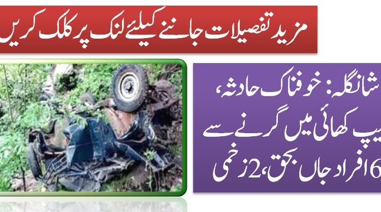 شانگلہ: خوفناک حادثہ، جیپ کھائی میں گرنے سے 6 افراد جاں بحق، 2 زخمی