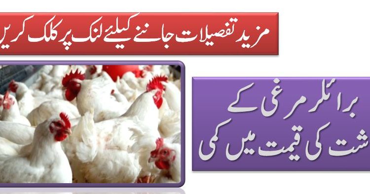 برائلر مرغی کے گوشت کی قیمت میں کمی