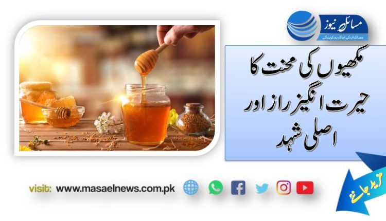 مکھیوں کی محنت کا حیرت انگیز راز اور اصلی شہد