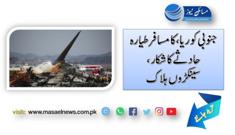 جنوبی کوریا،کا مسافرطیارہ حادثے کاشکار ،سینکڑوں ہلاک
